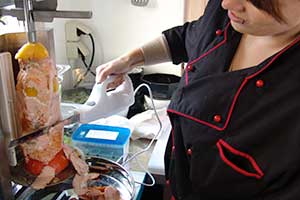 Rauch-Zeichen, Berlin